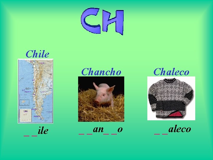 Chile _ _ile Chancho Chaleco _ _an_ _o _ _aleco 