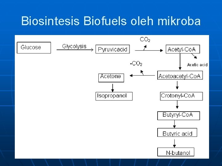 Biosintesis Biofuels oleh mikroba 