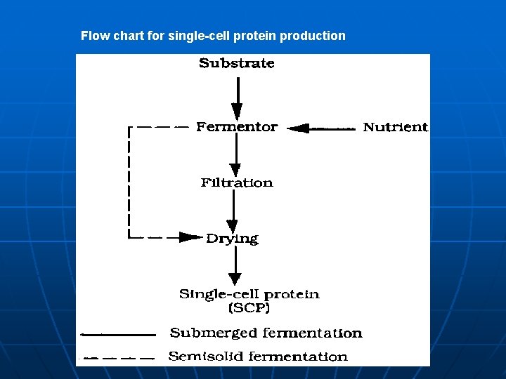 Flow chart for single-cell protein production 