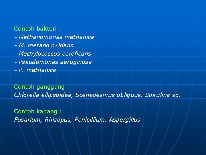 Contoh bakteri : - Methanomonas methanica - M. metano oxidans - Methylococcus cereficans -