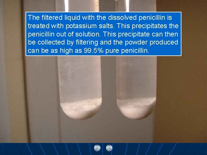 The filtered liquid with the dissolved penicillin is treated with potassium salts. This precipitates