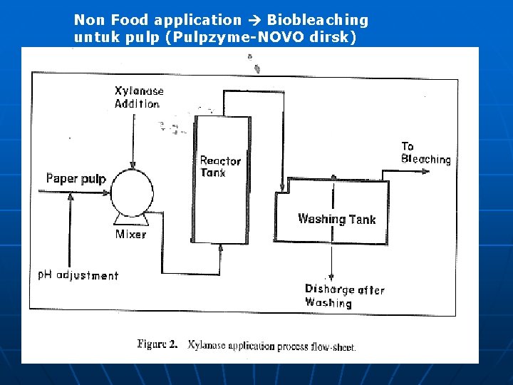 Non Food application Biobleaching untuk pulp (Pulpzyme-NOVO dirsk) 