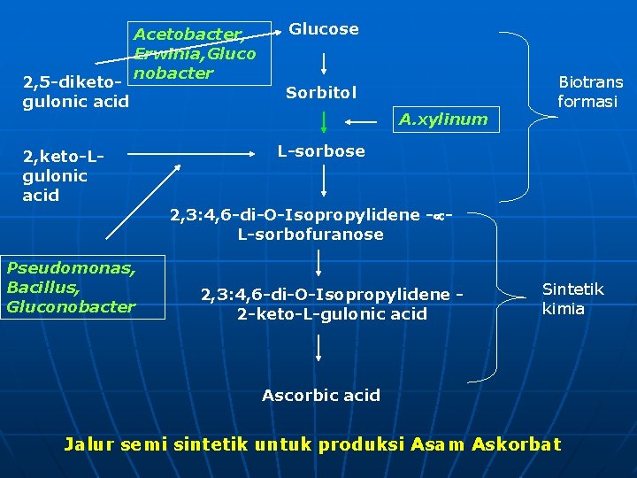 2, 5 -diketogulonic acid Acetobacter, Erwinia, Gluco nobacter 2, keto-Lgulonic acid Glucose Sorbitol A.