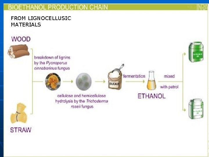 FROM LIGNOCELLUSIC MATERIALS FROM CELLULOSIC MATERIALS 