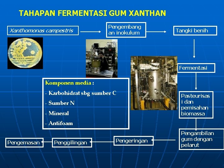TAHAPAN FERMENTASI GUM XANTHAN Xanthomonas campestris Pengembang an inokulum Tangki benih Fermentasi Komponen media