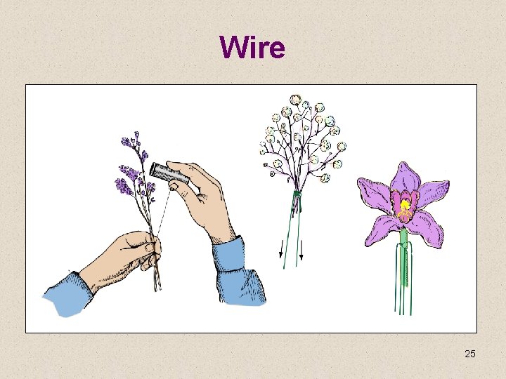 Wire 25 