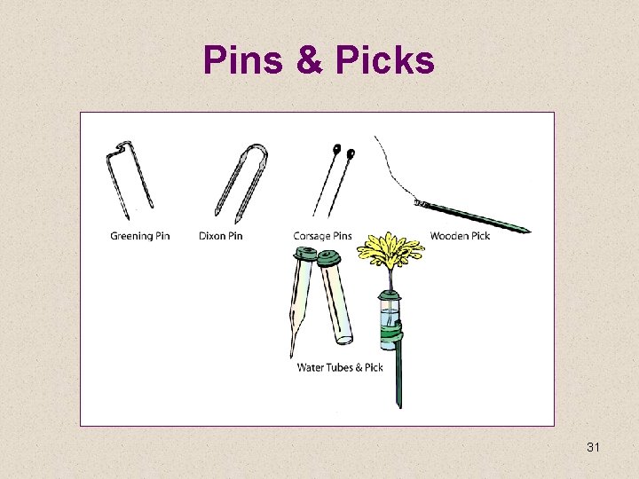 Pins & Picks 31 