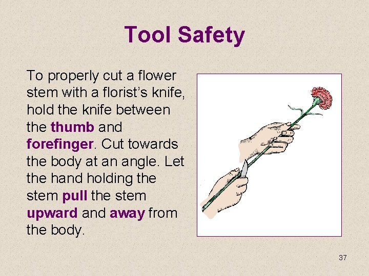 Tool Safety To properly cut a flower stem with a florist’s knife, hold the