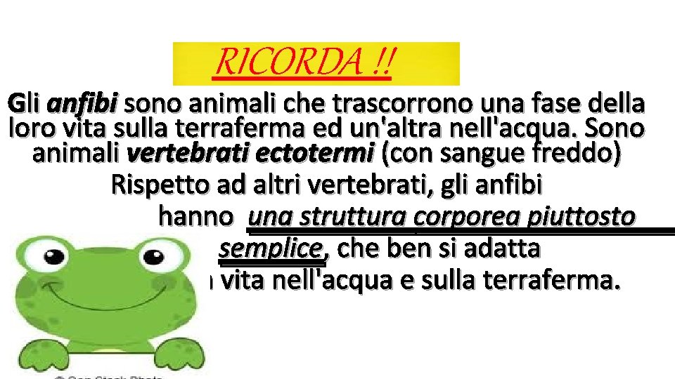 RICORDA !! Gli anfibi sono animali che trascorrono una fase della loro vita sulla