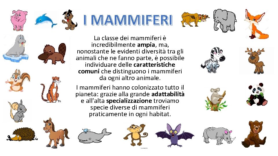 I MAMMIFERI La classe dei mammiferi è incredibilmente ampia, ma, nonostante le evidenti diversità