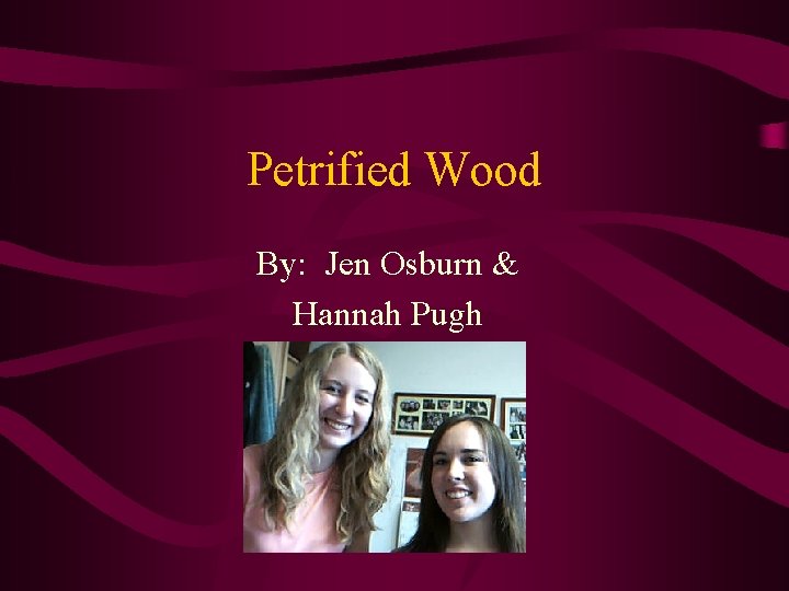 Petrified Wood By: Jen Osburn & Hannah Pugh 