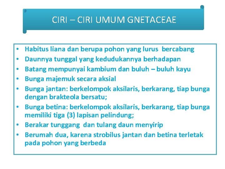 CIRI – CIRI UMUM GNETACEAE Habitus liana dan berupa pohon yang lurus bercabang Daunnya