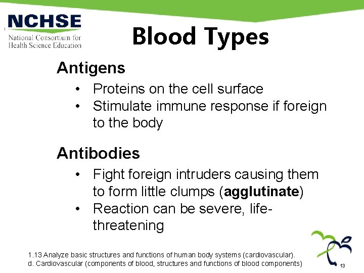 Blood Types Antigens • Proteins on the cell surface • Stimulate immune response if