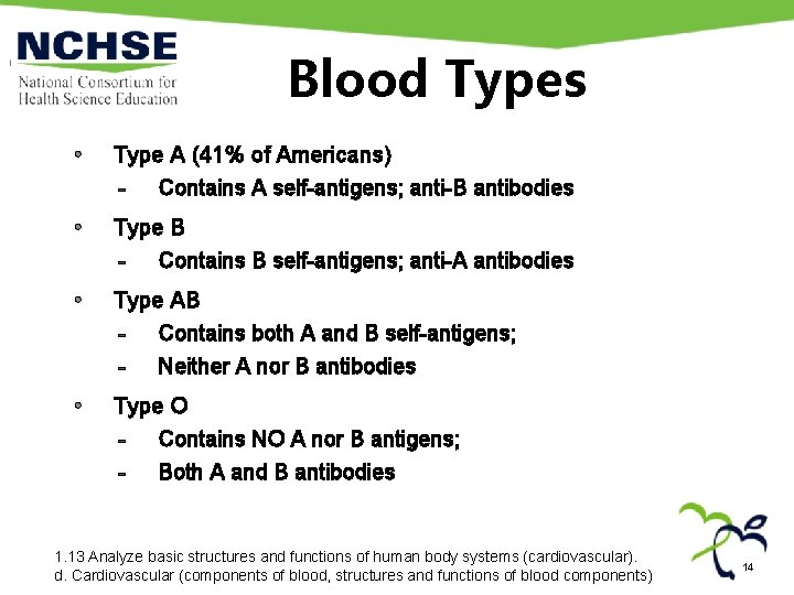 Blood Types • Type A (41% of Americans) - Contains A self-antigens; anti-B antibodies