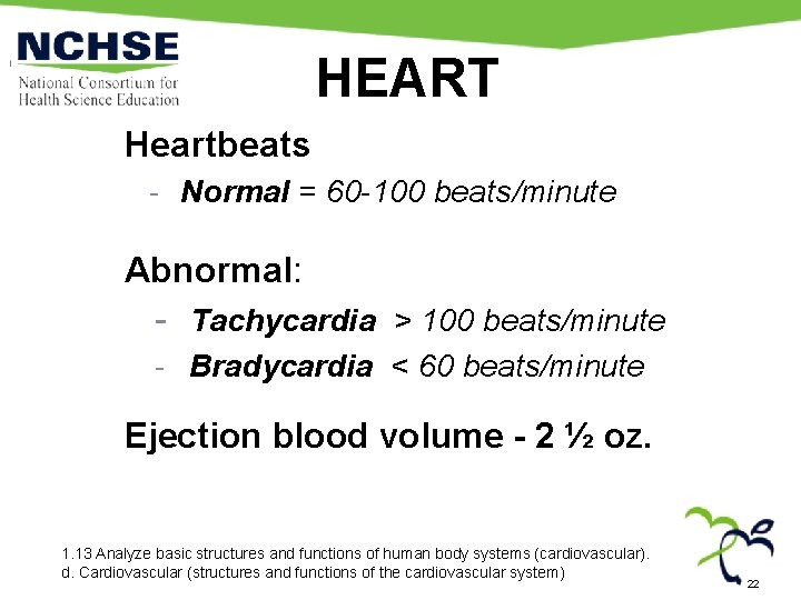 HEART Heartbeats - Normal = 60 -100 beats/minute Abnormal: - Tachycardia > 100 beats/minute