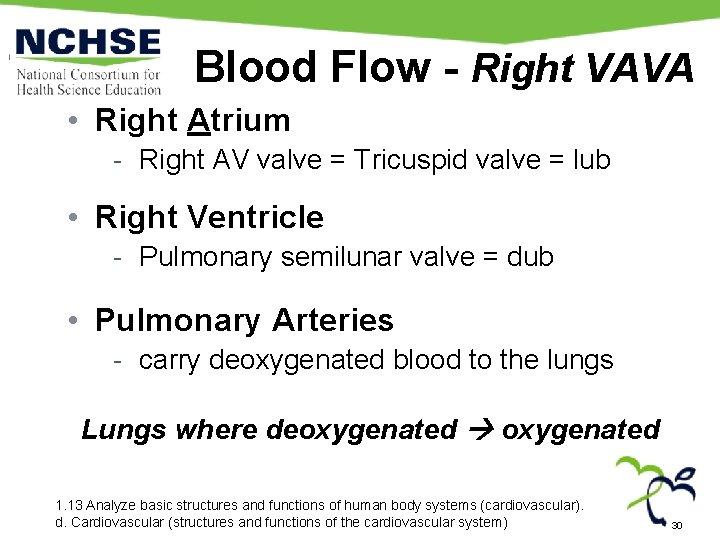 Blood Flow - Right VAVA • Right Atrium - Right AV valve = Tricuspid