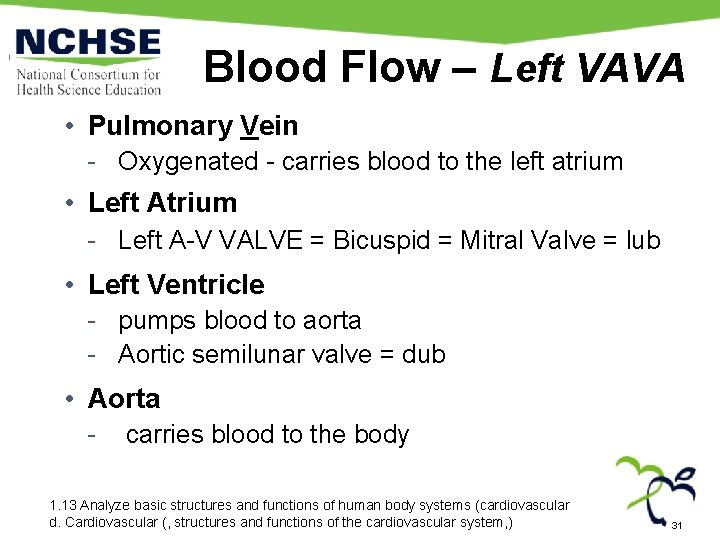 Blood Flow – Left VAVA • Pulmonary Vein - Oxygenated - carries blood to