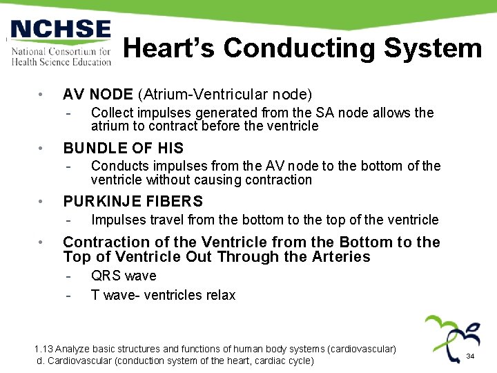 Heart’s Conducting System • AV NODE (Atrium-Ventricular node) - • BUNDLE OF HIS -