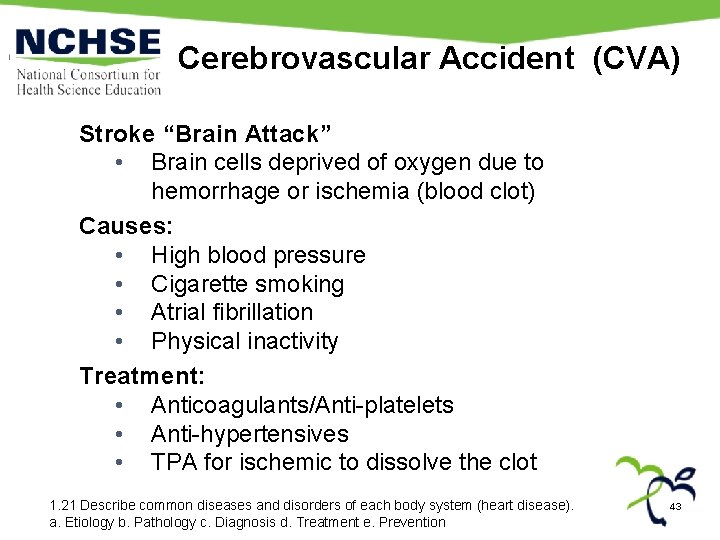 Cerebrovascular Accident (CVA) Stroke “Brain Attack” • Brain cells deprived of oxygen due to