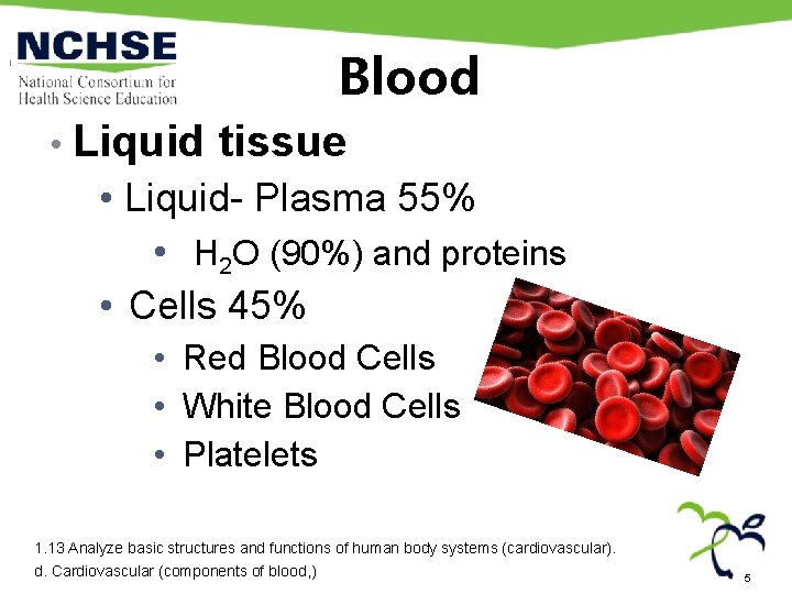 Blood • Liquid tissue • Liquid- Plasma 55% • H 2 O (90%) and Blood • Liquid tissue • Liquid- Plasma 55% • H 2 O (90%) and
