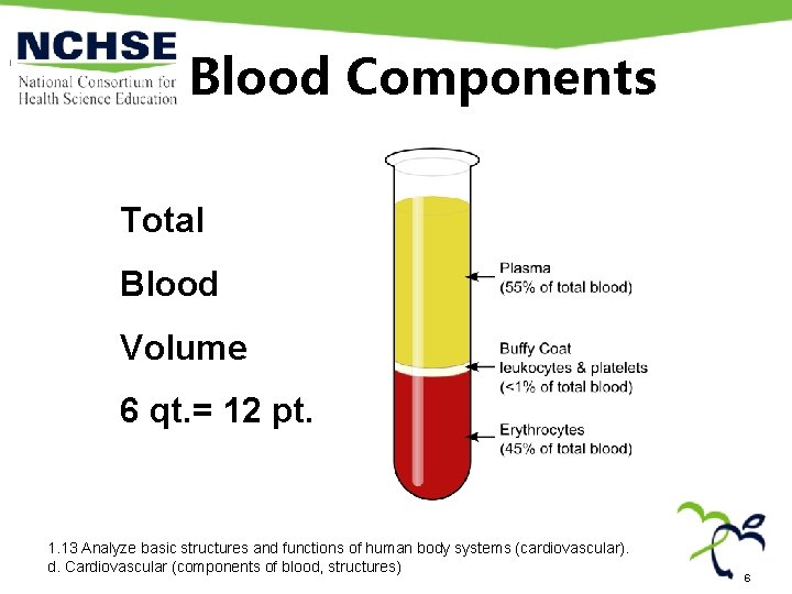 Blood Components Total Blood Volume 6 qt. = 12 pt. 1. 13 Analyze basic Blood Components Total Blood Volume 6 qt. = 12 pt. 1. 13 Analyze basic