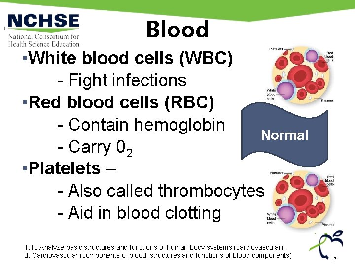 Blood • White blood cells (WBC) - Fight infections • Red blood cells (RBC) Blood • White blood cells (WBC) - Fight infections • Red blood cells (RBC)