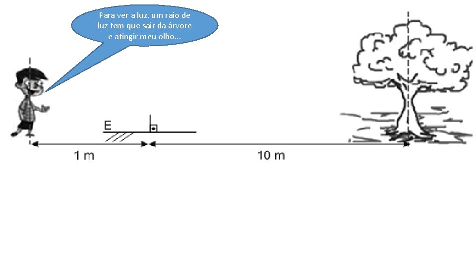 Para ver a luz, um raio de luz tem que sair da árvore e
