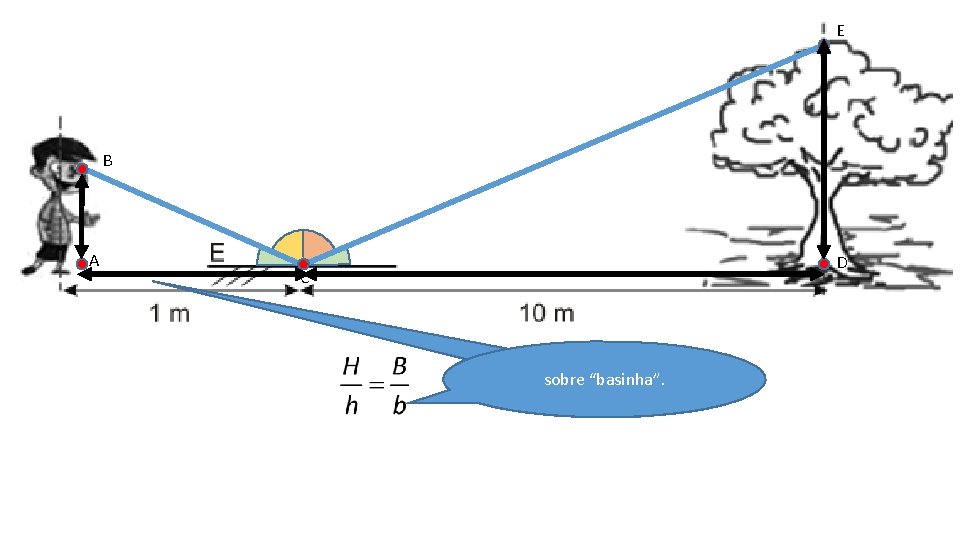 E B A D C sobre “basinha”. “Alturão”. . . 