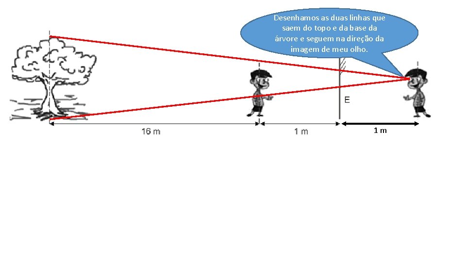 Desenhamos as duas linhas que saem do topo e da base da árvore e