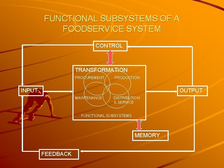 FUNCTIONAL SUBSYSTEMS OF A FOODSERVICE SYSTEM CONTROL TRANSFORMATION PROCUREMENT PRODUCTION INPUT OUTPUT MAINTENANCE DISTRIBUTION