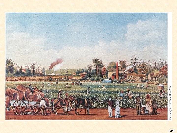 Chapter 16 The South and the Slavery Controversy
