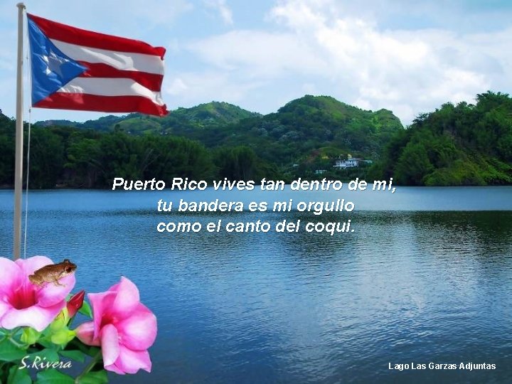 Puerto Rico vives tan dentro de mi, tu bandera es mi orgullo como el