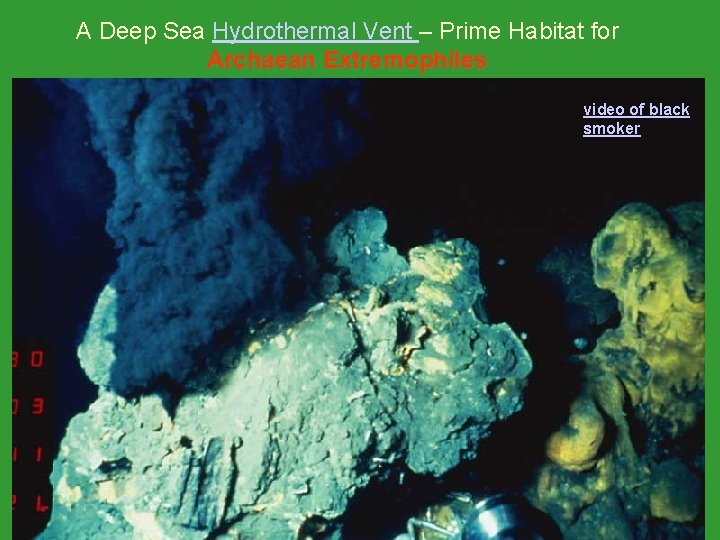 A Deep Sea Hydrothermal Vent – Prime Habitat for Archaean Extremophiles video of black