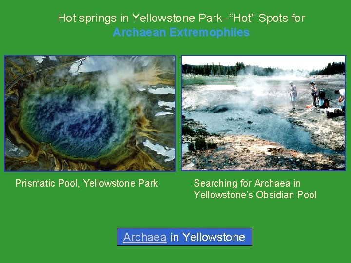 Hot springs in Yellowstone Park–“Hot” Spots for Archaean Extremophiles Prismatic Pool, Yellowstone Park Searching