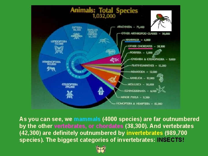 As you can see, we mammals (4000 species) are far outnumbered mammals by the
