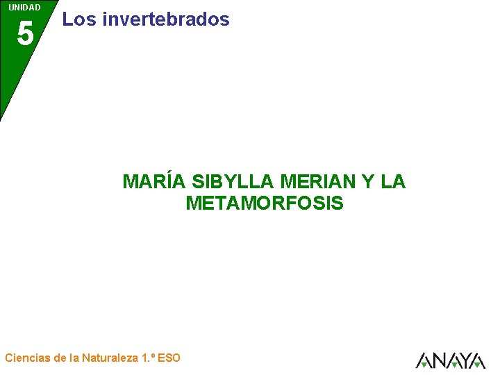 UNIDAD 5 Los invertebrados MARÍA SIBYLLA MERIAN Y LA METAMORFOSIS Ciencias de la Naturaleza