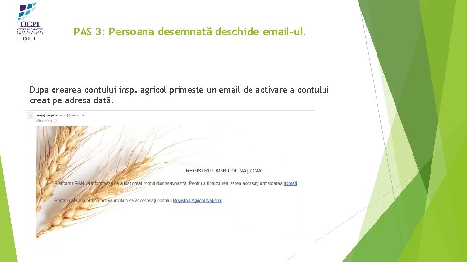 PAS 3: Persoana desemnată deschide email-ul. Dupa crearea contului insp. agricol primeste un email