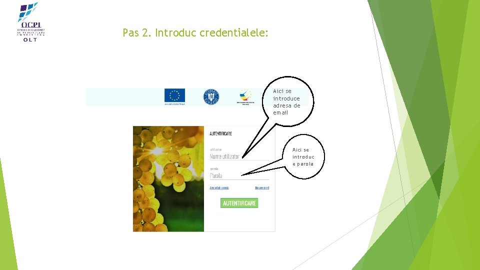 Pas 2. Introduc credentialele: Aici se introduce adresa de email Aici se introduc e