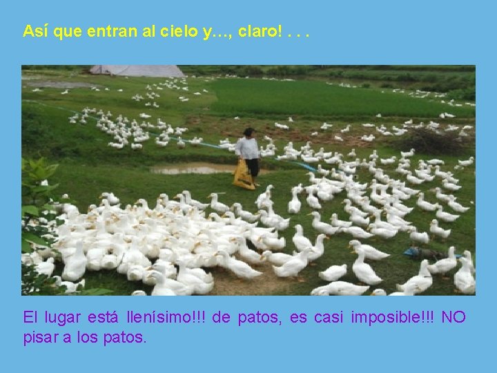 Así que entran al cielo y…, claro!. . . El lugar está llenísimo!!! de