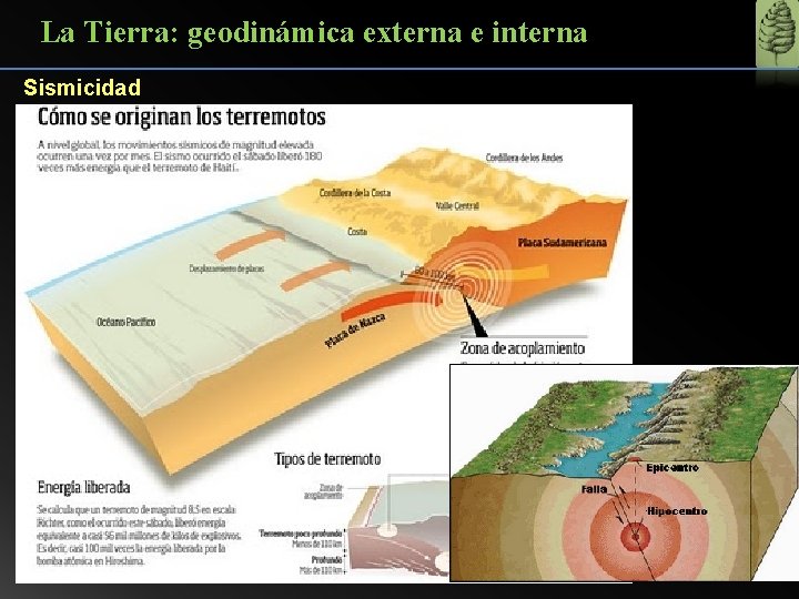 La Tierra: geodinámica externa e interna Sismicidad 