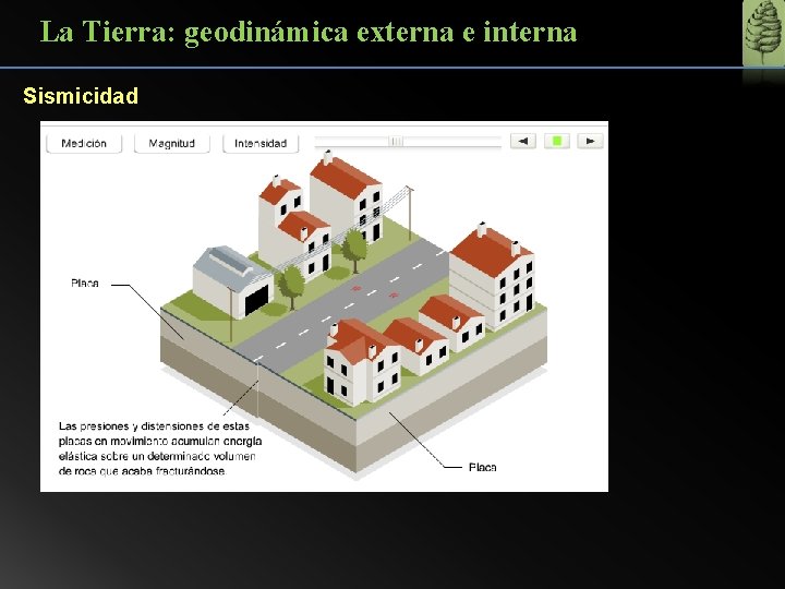 La Tierra: geodinámica externa e interna Sismicidad 