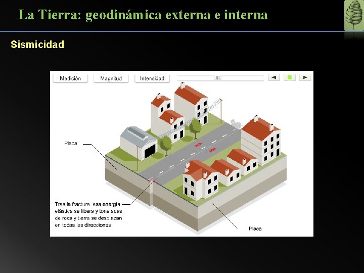 La Tierra: geodinámica externa e interna Sismicidad 