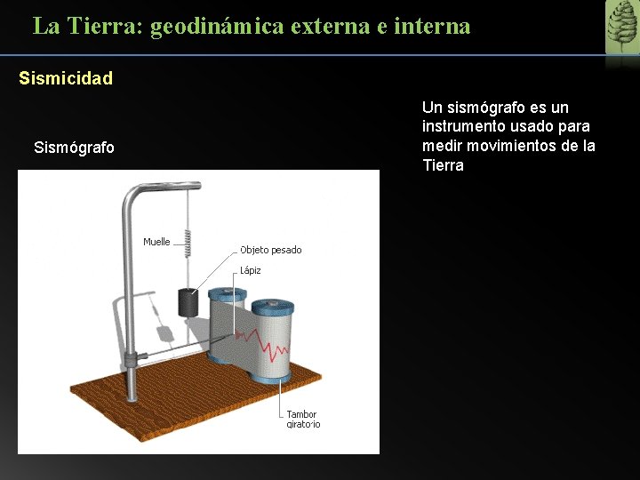 La Tierra: geodinámica externa e interna Sismicidad Sismógrafo Un sismógrafo es un instrumento usado