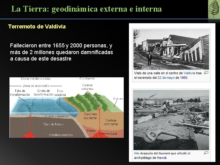 La Tierra: geodinámica externa e interna Terremoto de Valdivia Fallecieron entre 1655 y 2000