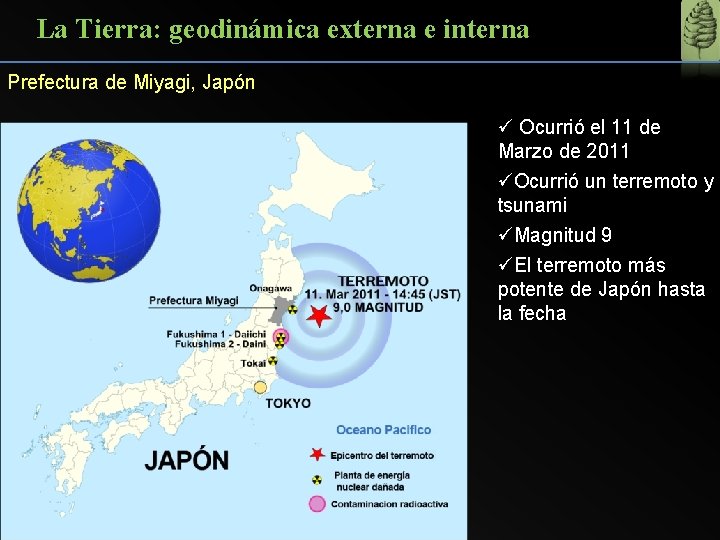 La Tierra: geodinámica externa e interna Prefectura de Miyagi, Japón ü Ocurrió el 11