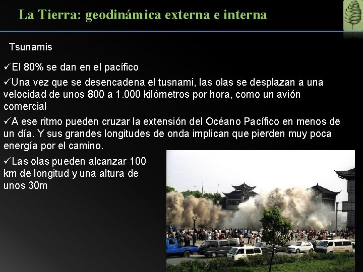 La Tierra: geodinámica externa e interna Tsunamis üEl 80% se dan en el pacífico