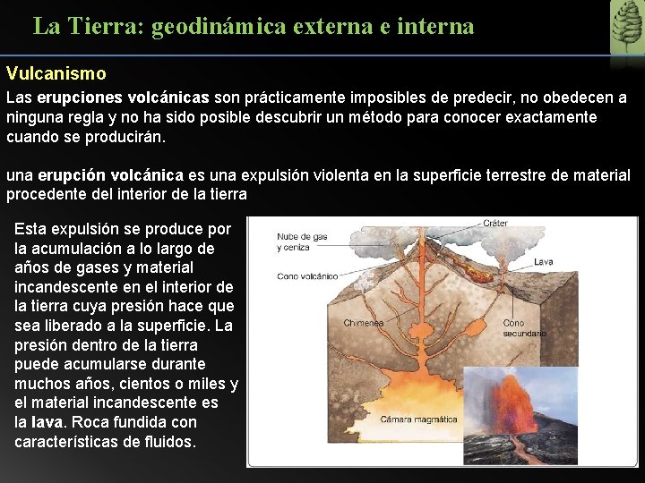 La Tierra: geodinámica externa e interna Vulcanismo Las erupciones volcánicas son prácticamente imposibles de