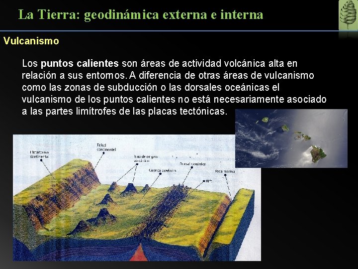 La Tierra: geodinámica externa e interna Vulcanismo Los puntos calientes son áreas de actividad