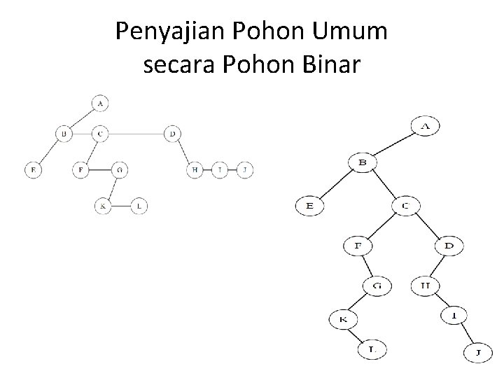 Penyajian Pohon Umum secara Pohon Binar 