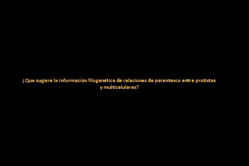 ¿Que sugiere la información filogenética de relaciones de parentesco entre protistas y multicelulares? ¿Que sugiere la información filogenética de relaciones de parentesco entre protistas y multicelulares?
